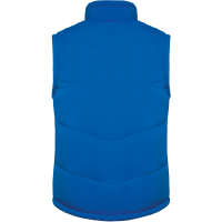 Light Royal Blue